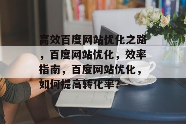 高效百度网站优化之路，百度网站优化，效率指南，百度网站优化，如何提高转化率?