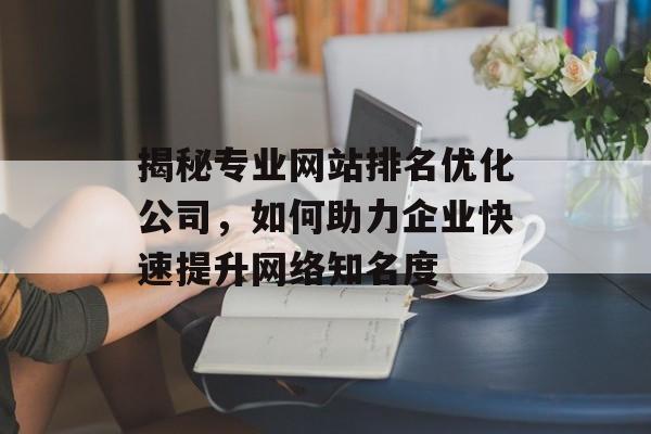 揭秘专业网站排名优化公司,如何助力企业快速提升网络知名度 揭秘专业网站排名优化公司,如何助力企业快速提升网络知名度