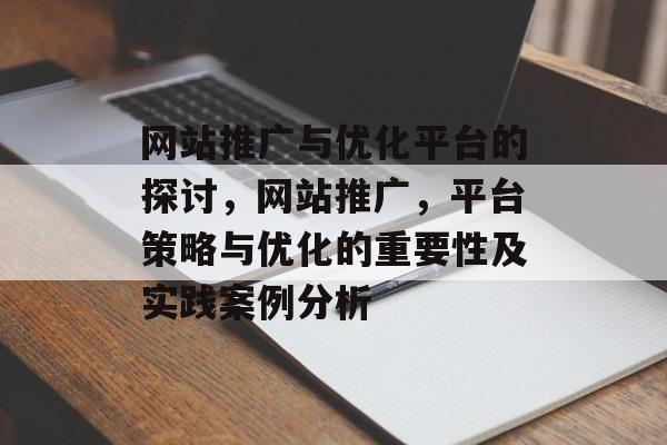 网站推广与优化平台的探讨，网站推广，平台策略与优化的重要性及实践案例分析
