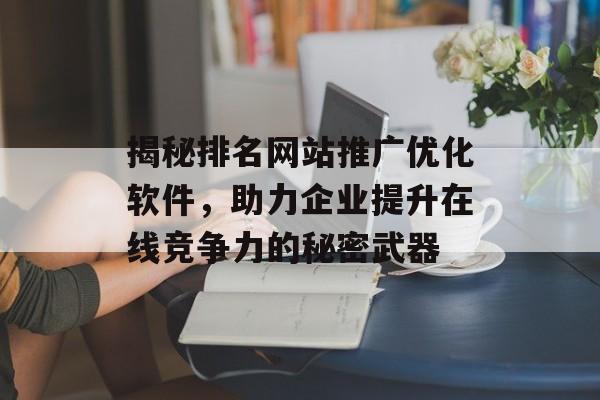 揭秘排名网站推广优化软件，助力企业提升在线竞争力的秘密武器