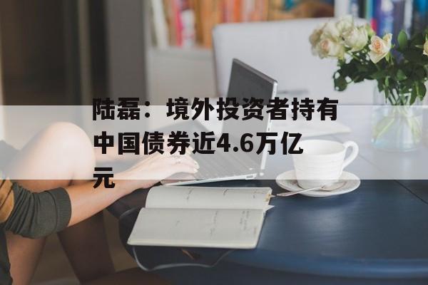陆磊:境外投资者持有中国债券近4.6万亿元 陆磊:境外投资者持有中国债券近4.6万亿元