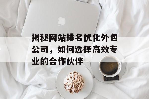 揭秘网站排名优化外包公司，如何选择高效专业的合作伙伴