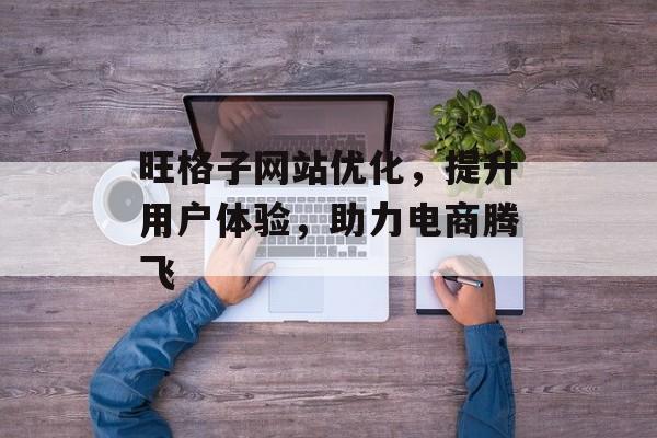 旺格子网站优化，提升用户体验，助力电商腾飞
