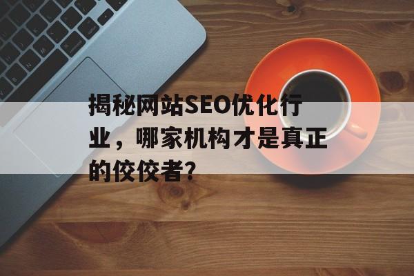 揭秘网站SEO优化行业，哪家机构才是真正的佼佼者？