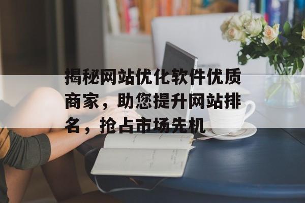 揭秘网站优化软件优质商家，助您提升网站排名，抢占市场先机