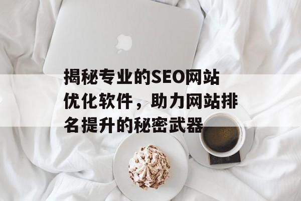 揭秘专业的SEO网站优化软件，助力网站排名提升的秘密武器