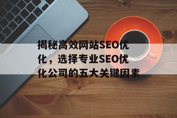 揭秘高效网站SEO优化,选择专业SEO优化公司的五大关键因素 揭秘高效网站SEO优化,选择专业SEO优化公司的五大关键因素
