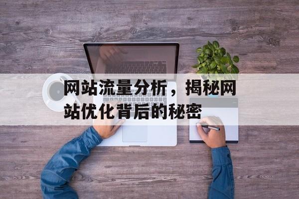 网站流量分析,揭秘网站优化背后的秘密 网站流量分析,揭秘网站优化背后的秘密