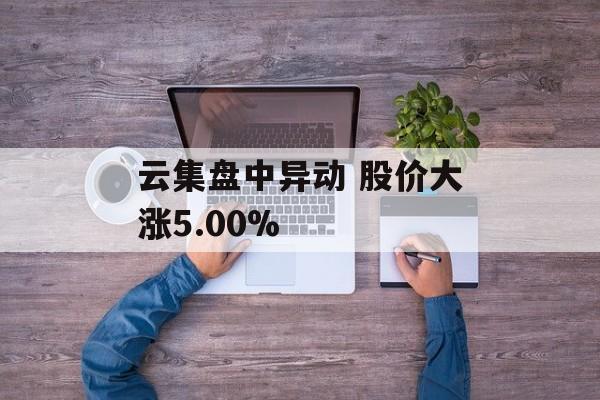 云集盘中异动 股价大涨5.00% 云集盘中异动 股价大涨5.00%