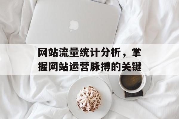 网站流量统计分析,掌握网站运营脉搏的关键 网站流量统计分析,掌握网站运营脉搏的关键