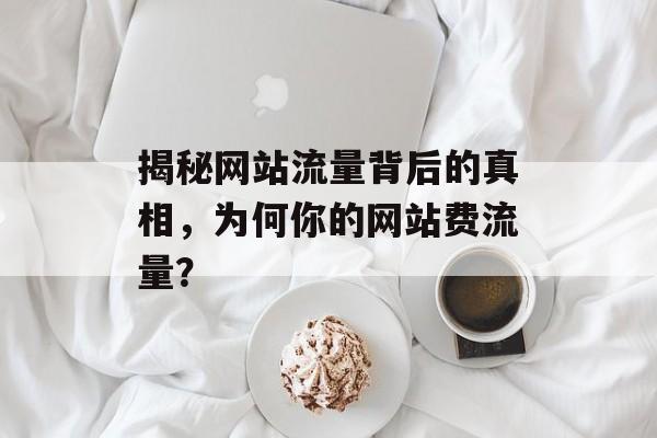 揭秘网站流量背后的真相，为何你的网站费流量？