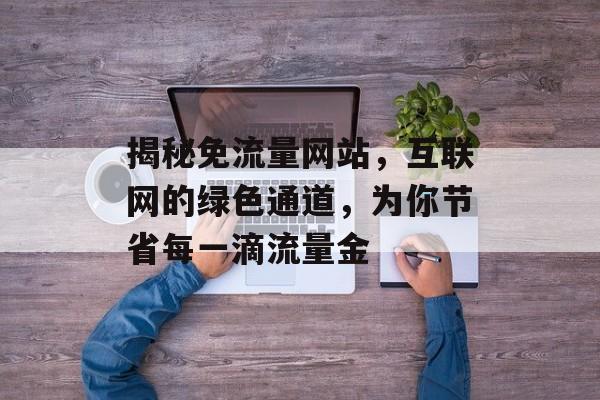揭秘免流量网站，互联网的绿色通道，为你节省每一滴流量金