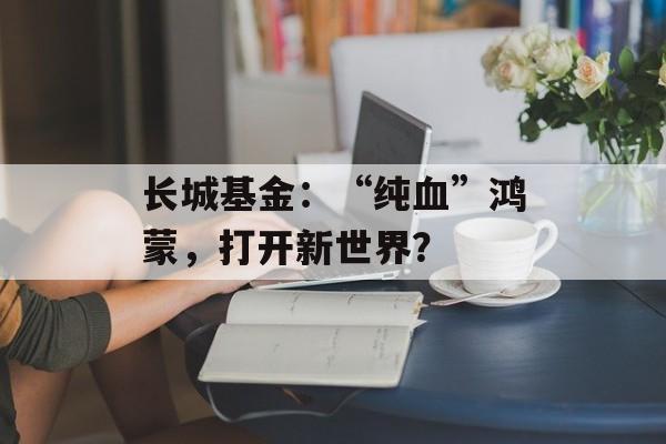 长城基金：“纯血”鸿蒙，打开新世界？