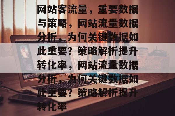网站客流量，重要数据与策略，网站流量数据分析，为何关键数据如此重要？策略解析提升转化率，网站流量数据分析，为何关键数据如此重要？策略解析提升转化率