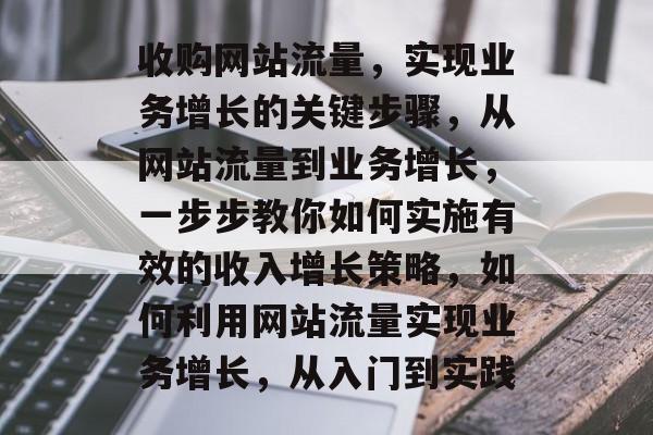 收购网站流量,实现业务增长的关键步骤,从网站流量到业务增长,一步步教你如何实施有效的收入增长策略,如何利用网站流量实现业务增长,从入门到实践 收购网站流量,实现业务增长的关键步骤,从网站流量到业务增长,一步步教你如何实施有效的收入增长策略,如何利用网站流量实现业务增长,从入门到实践