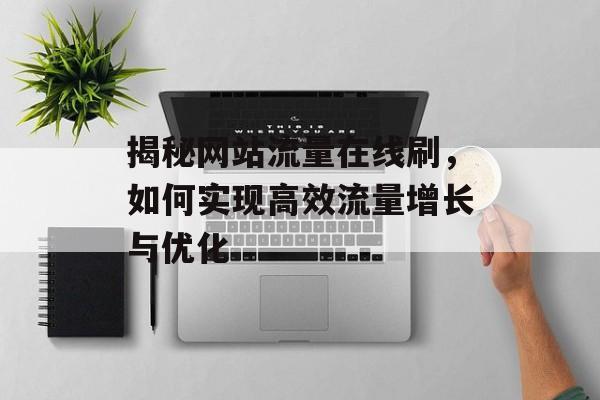揭秘网站流量在线刷，如何实现高效流量增长与优化