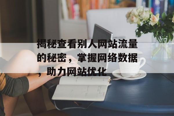 揭秘查看别人网站流量的秘密，掌握网络数据，助力网站优化
