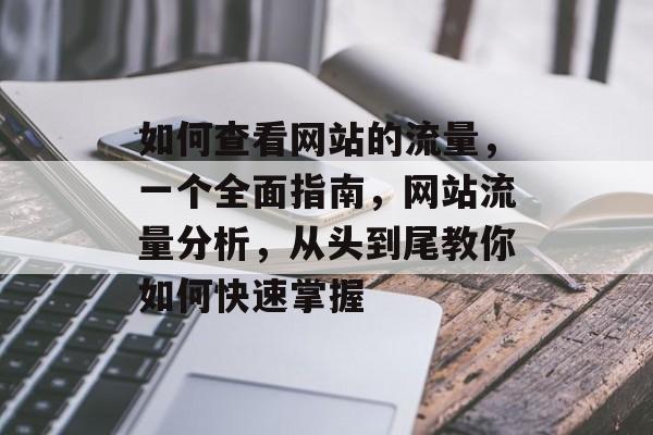 如何查看网站的流量，一个全面指南，网站流量分析，从头到尾教你如何快速掌握