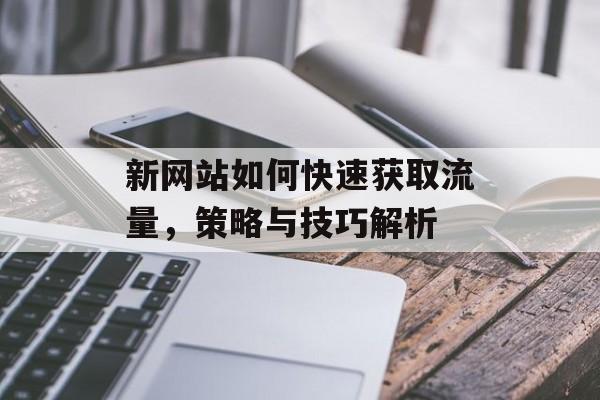 新网站如何快速获取流量，策略与技巧解析