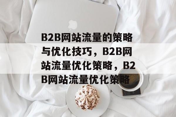 B2B网站流量的策略与优化技巧，B2B网站流量优化策略，B2B网站流量优化策略