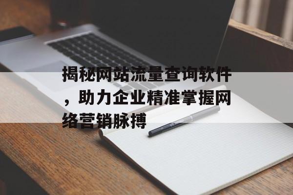 揭秘网站流量查询软件，助力企业精准掌握网络营销脉搏