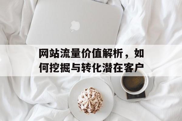 网站流量价值解析，如何挖掘与转化潜在客户