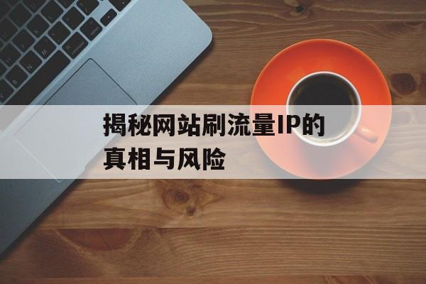 揭秘网站刷流量IP的真相与风险