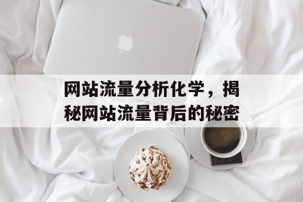 网站流量分析化学，揭秘网站流量背后的秘密