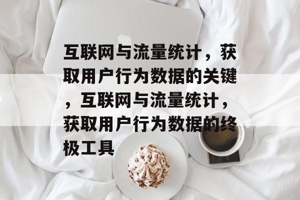 互联网与流量统计,获取用户行为数据的关键,互联网与流量统计,获取用户行为数据的终极工具 互联网与流量统计,获取用户行为数据的关键,互联网与流量统计,获取用户行为数据的终极工具