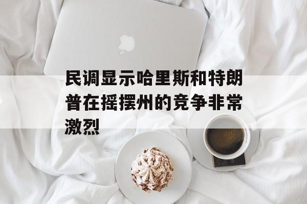 民调显示哈里斯和特朗普在摇摆州的竞争非常激烈