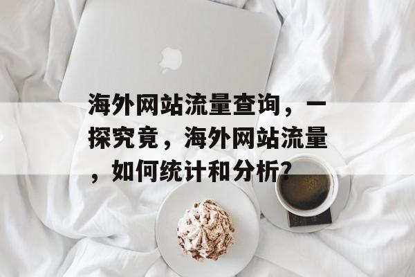 海外网站流量查询，一探究竟，海外网站流量，如何统计和分析？