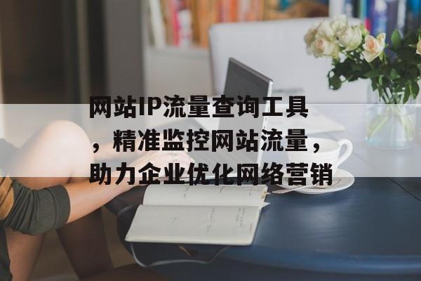 网站IP流量查询工具，精准监控网站流量，助力企业优化网络营销