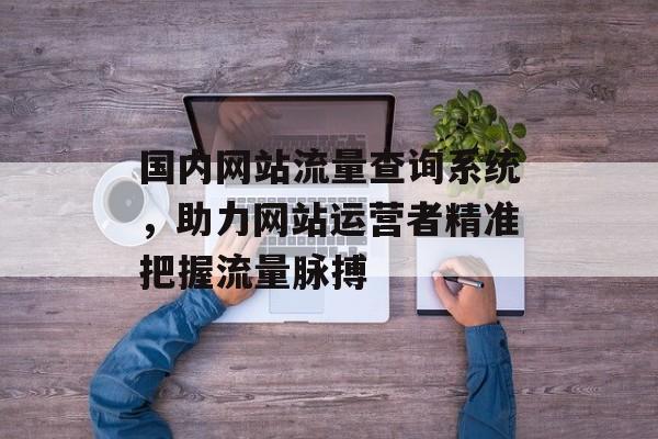 国内网站流量查询系统，助力网站运营者精准把握流量脉搏