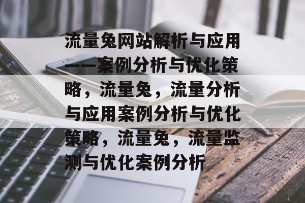 流量兔网站解析与应用——案例分析与优化策略，流量兔，流量分析与应用案例分析与优化策略，流量兔，流量监测与优化案例分析
