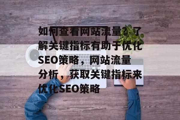 如何查看网站流量?了解关键指标有助于优化SEO策略,网站流量分析,获取关键指标来优化SEO策略 如何查看网站流量?了解关键指标有助于优化SEO策略,网站流量分析,获取关键指标来优化SEO策略
