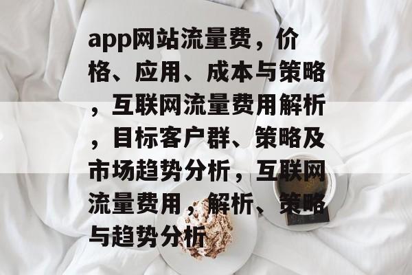 app网站流量费，价格、应用、成本与策略，互联网流量费用解析，目标客户群、策略及市场趋势分析，互联网流量费用，解析、策略与趋势分析