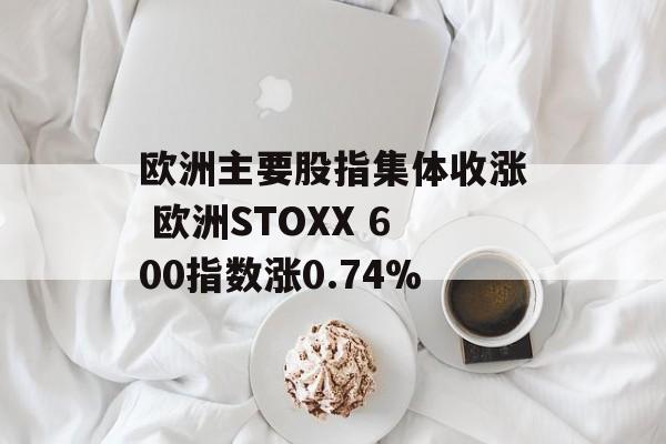 欧洲主要股指集体收涨 欧洲STOXX 600指数涨0.74%