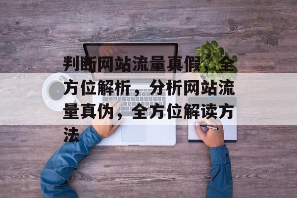 判断网站流量真假，全方位解析，分析网站流量真伪，全方位解读方法