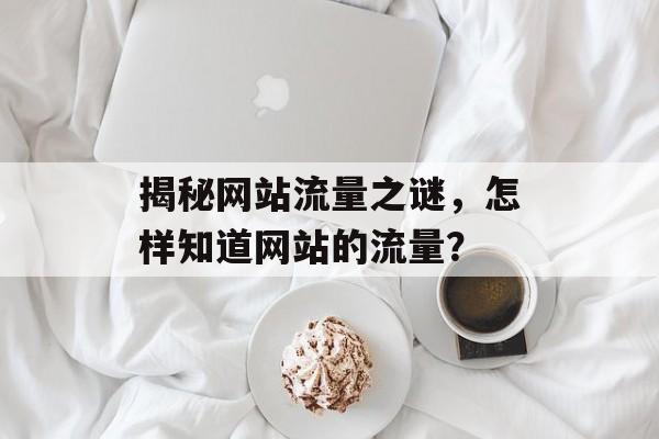 揭秘网站流量之谜，怎样知道网站的流量？