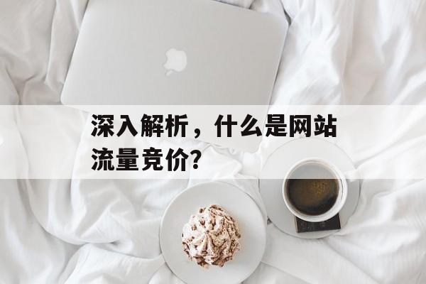 深入解析，什么是网站流量竞价？