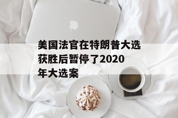 美国法官在特朗普大选获胜后暂停了2020年大选案 美国法官在特朗普大选获胜后暂停了2020年大选案