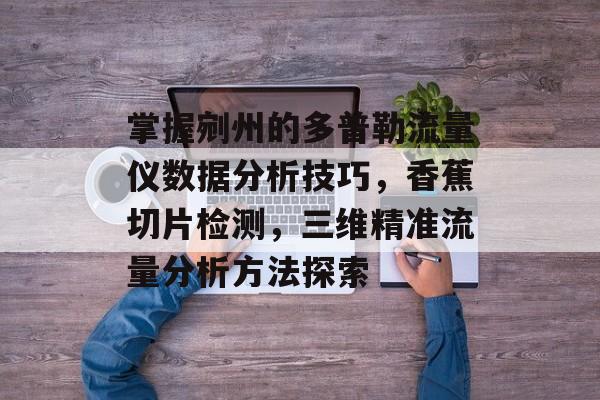 掌握剜州的多普勒流量仪数据分析技巧，香蕉切片检测，三维精准流量分析方法探索