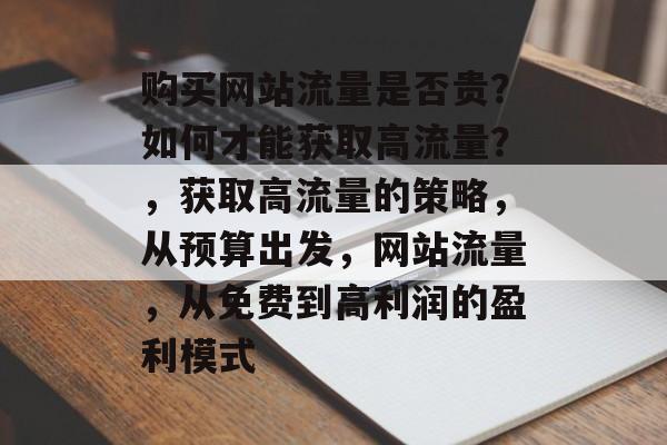 购买网站流量是否贵？如何才能获取高流量？，获取高流量的策略，从预算出发，网站流量，从免费到高利润的盈利模式