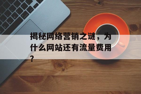揭秘网络营销之谜，为什么网站还有流量费用？