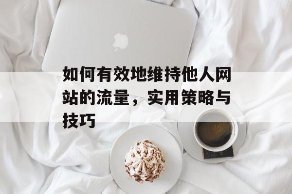 如何有效地维持他人网站的流量，实用策略与技巧