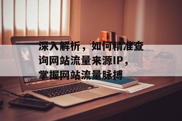 深入解析，如何精准查询网站流量来源IP，掌握网站流量脉搏