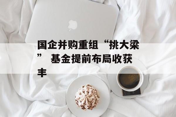 国企并购重组“挑大梁” 基金提前布局收获丰