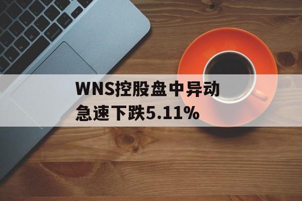 WNS控股盘中异动 急速下跌5.11%