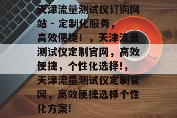 天津流量测试仪订购网站 - 定制化服务，高效便捷！，天津流量测试仪定制官网，高效便捷，个性化选择!，天津流量测试仪定制官网，高效便捷选择个性化方案!