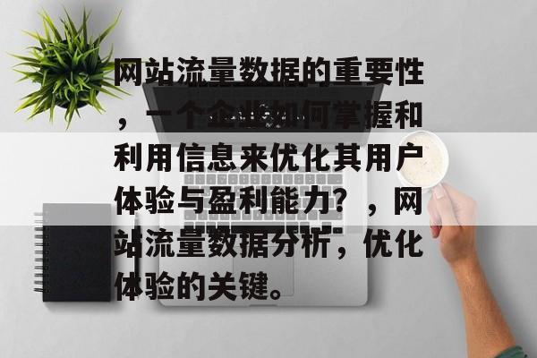 网站流量数据的重要性，一个企业如何掌握和利用信息来优化其用户体验与盈利能力？，网站流量数据分析，优化体验的关键。